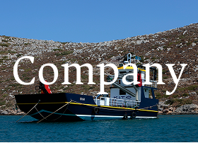 Company