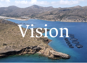 Vision