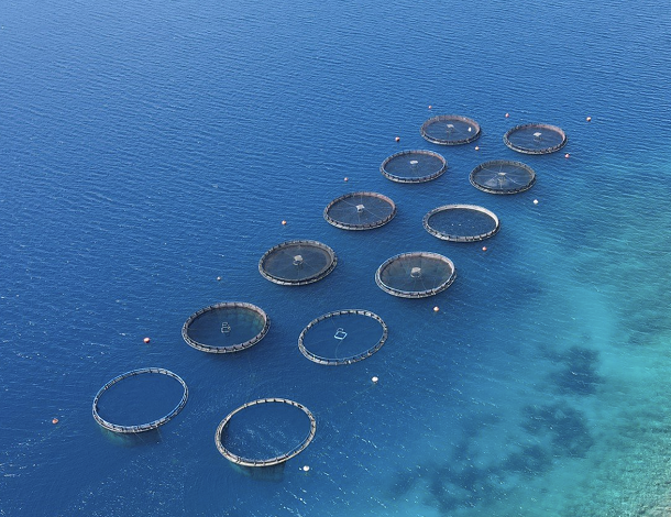 Fish cages in the sea