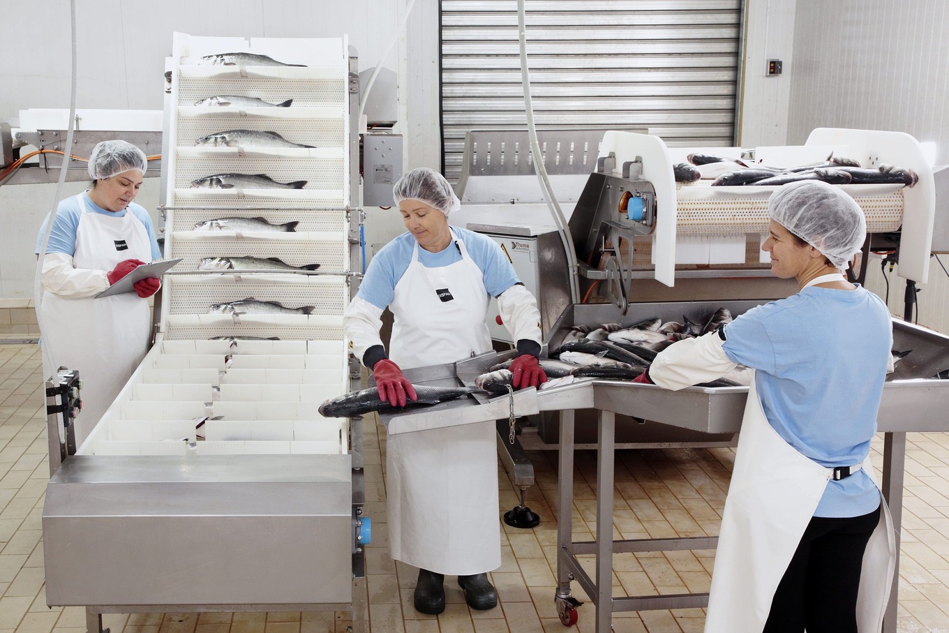 KITO company production line