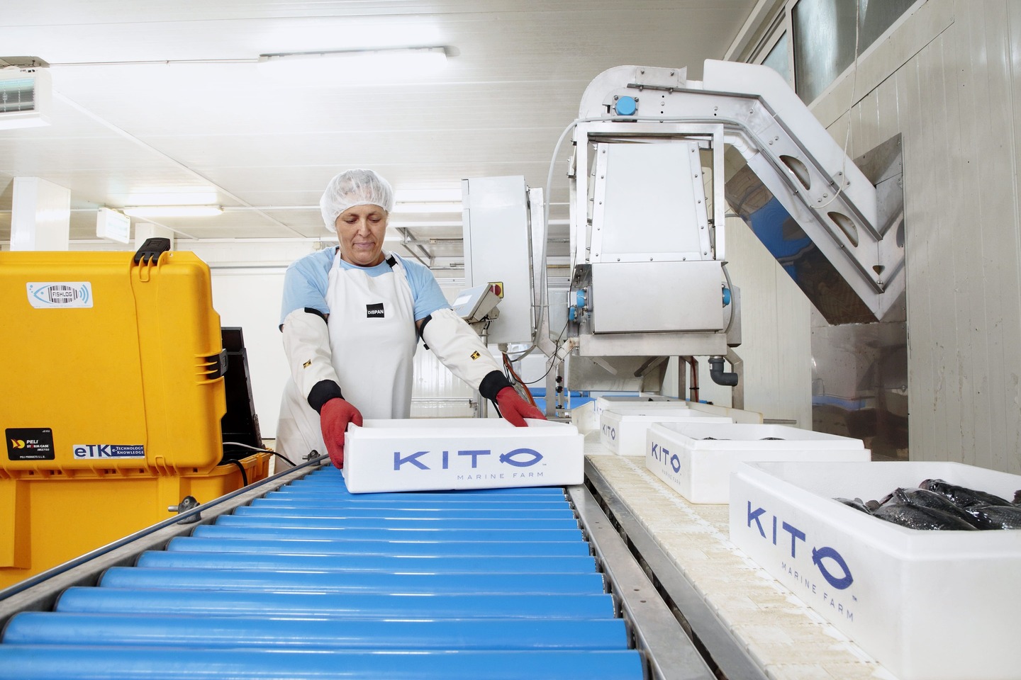 Packaging plant