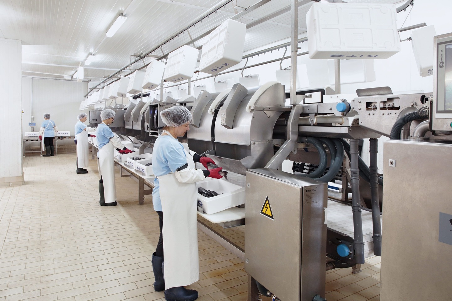 Kito production facilities